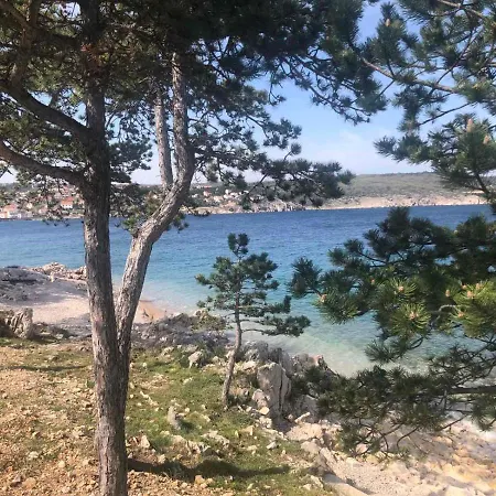 Goldfisch-By The Sea With Amazing View